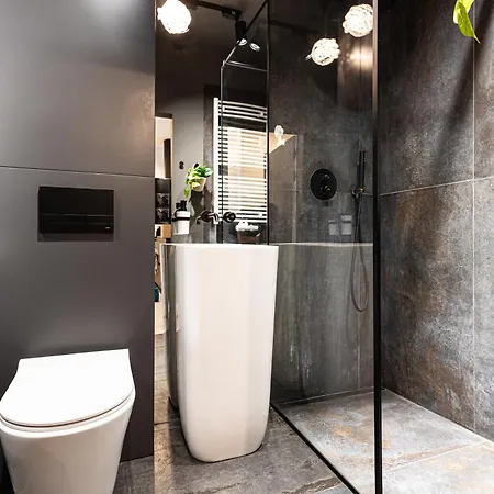 2homerent Babia Wies 12 ビィドゴシュチュ